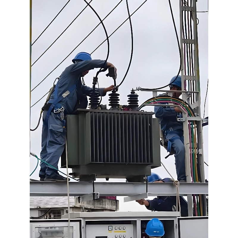 Euro Grid Liquid Immersed Tran - Heavy Equipment Supplier recension och pris